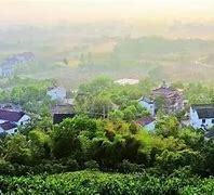 探尋蘇西南數字新地標 宜興西渚鎮網站建設與城市信息脈絡